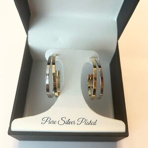 Elegant Silver and Gold Hoop Earrings